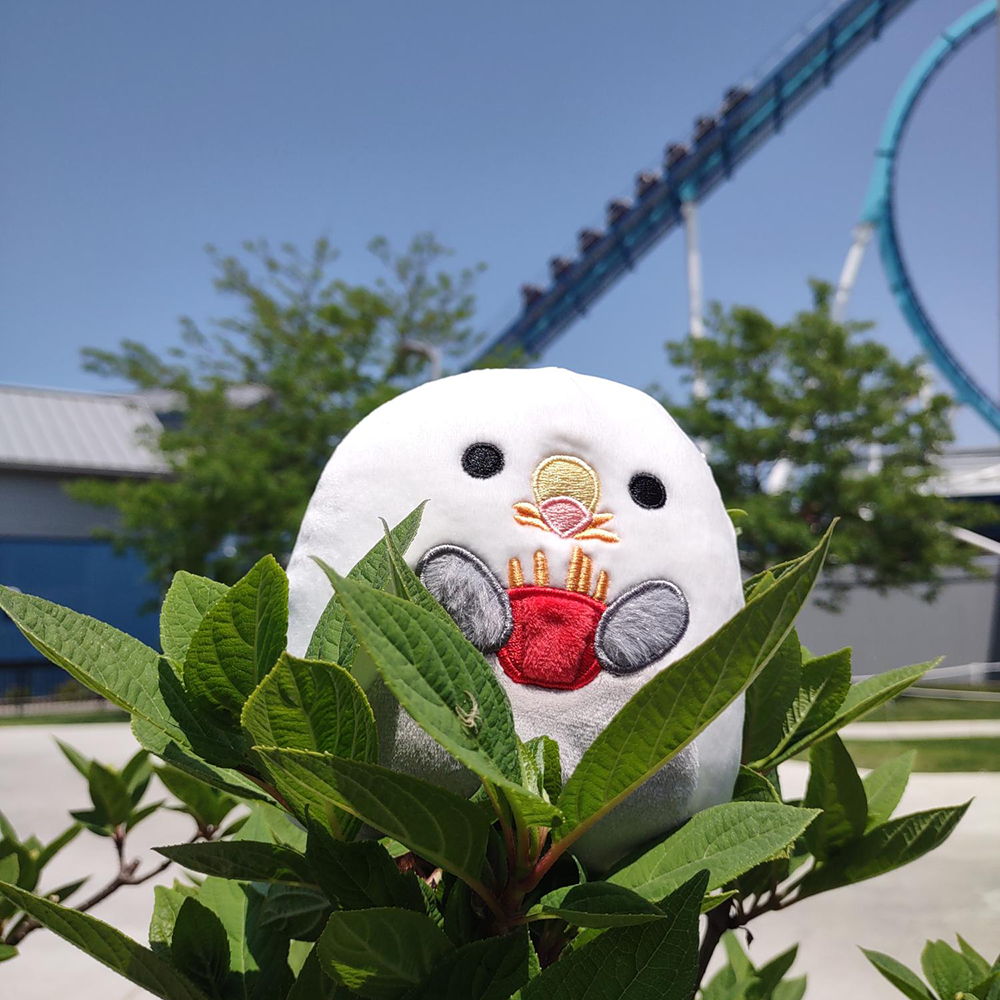 Cedar Point 5” Seagull with Fries  Squishmallow