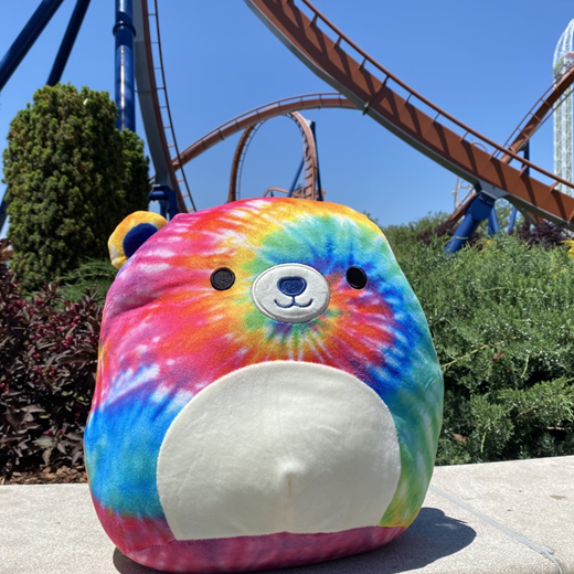 Sandy squishmallow 12” buy & 5” BUNDLE cedar point exclusive