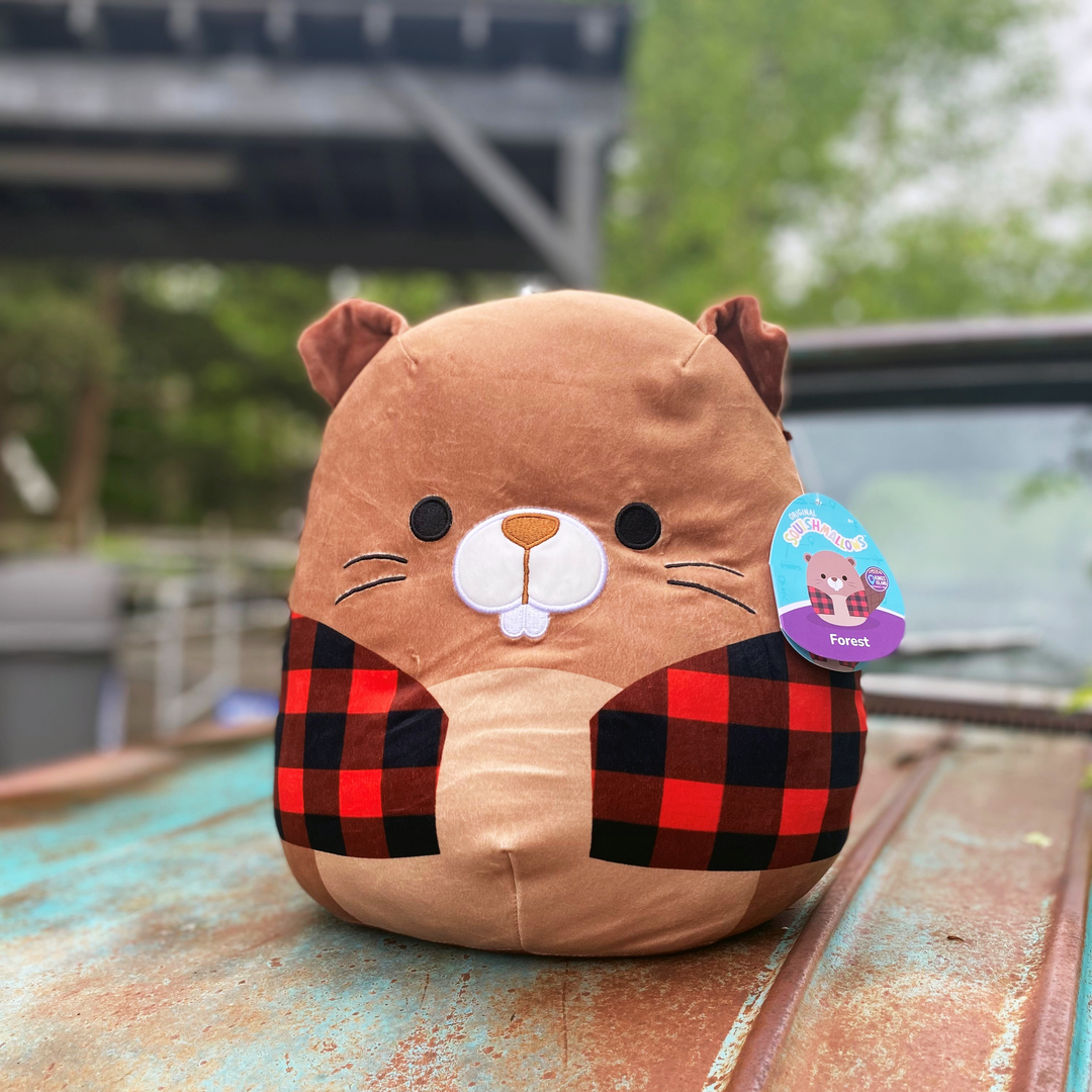 Kings Island 12" Mystic Timbers Squishmallow