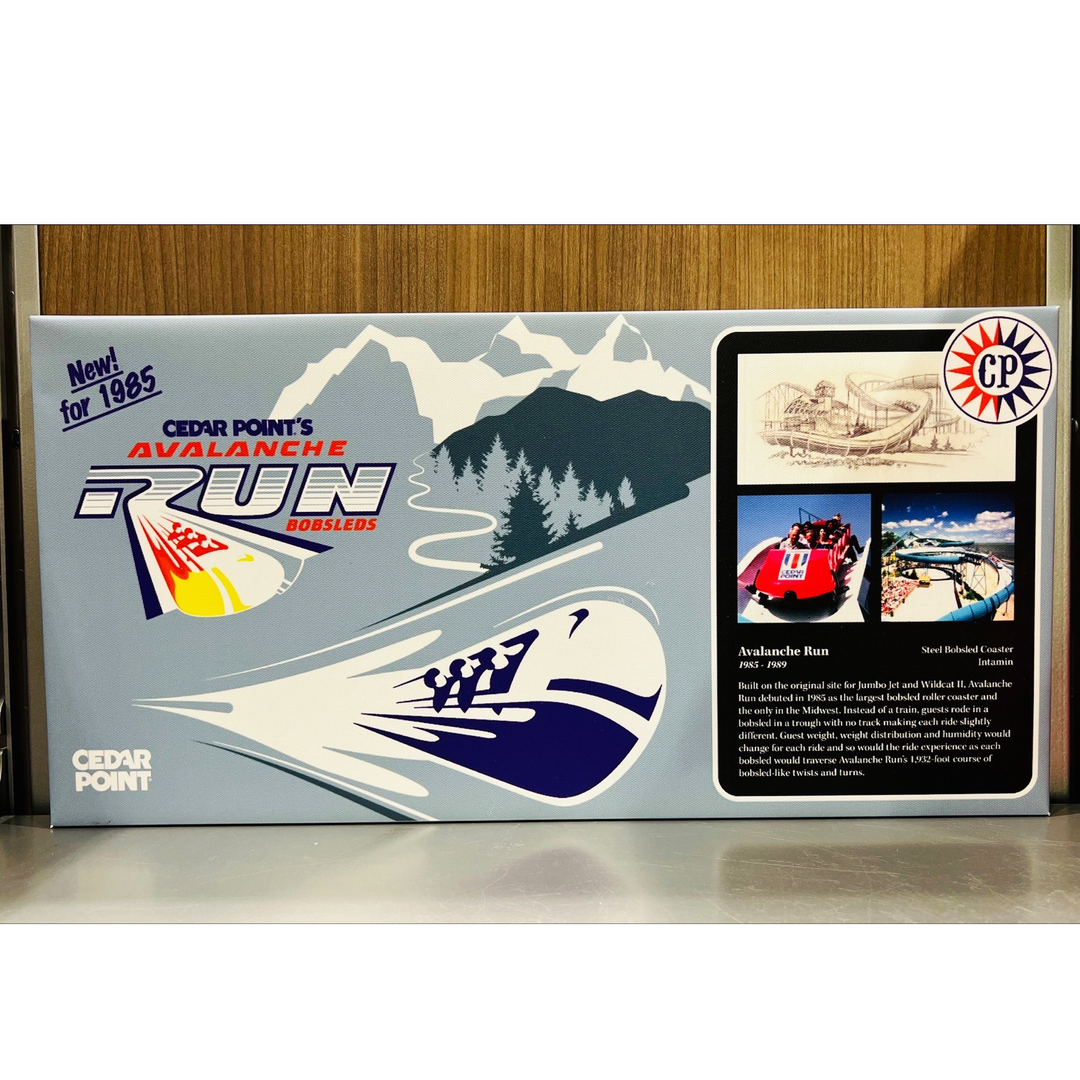 Cedar Point Avalanche Run Canvas Art