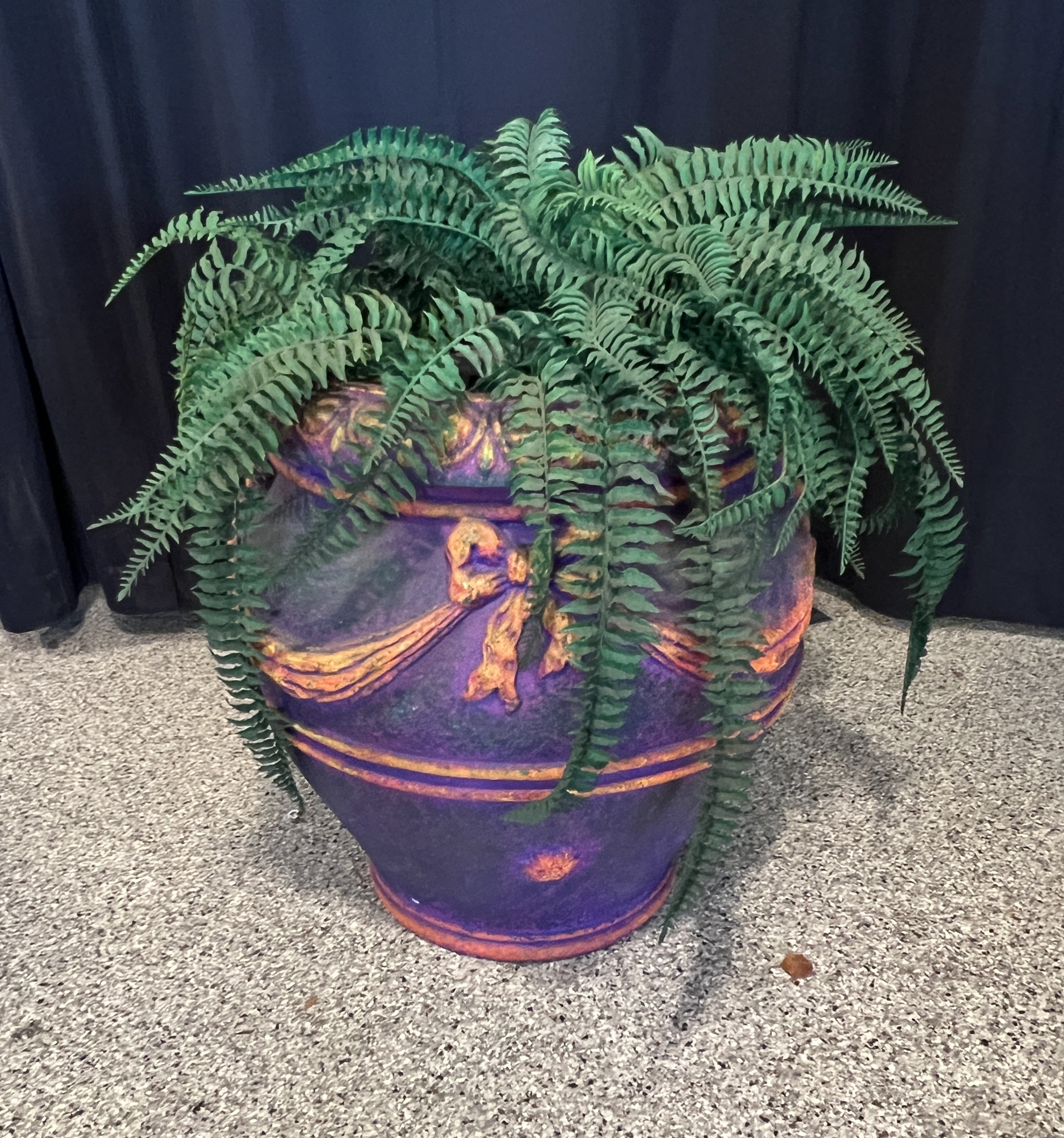 Lot # 53 – Haunted Fern - 53.97.2