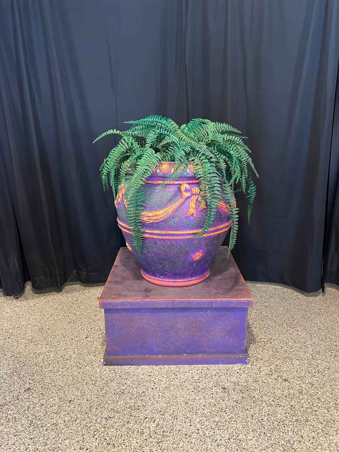 Lot # 53 – Haunted Fern - Full Lot