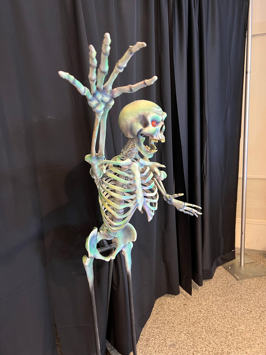 Lot # 57 – Chaser #2 - 57.101.2