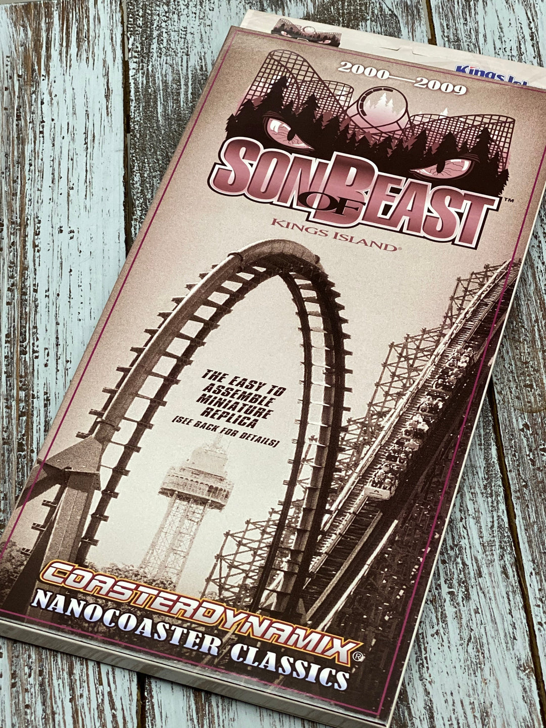 Kings Island Son of Beast Nanocoaster