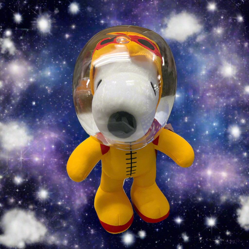 Nasa Pinuts Hat Nasa Snoopy Pictures