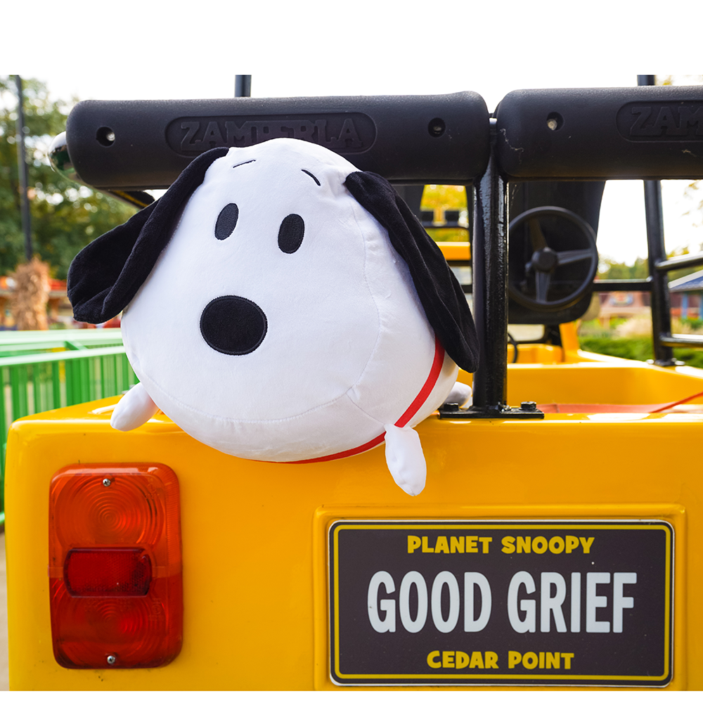 PEANUTS® 12" Snoopy Lil Huggy Plush