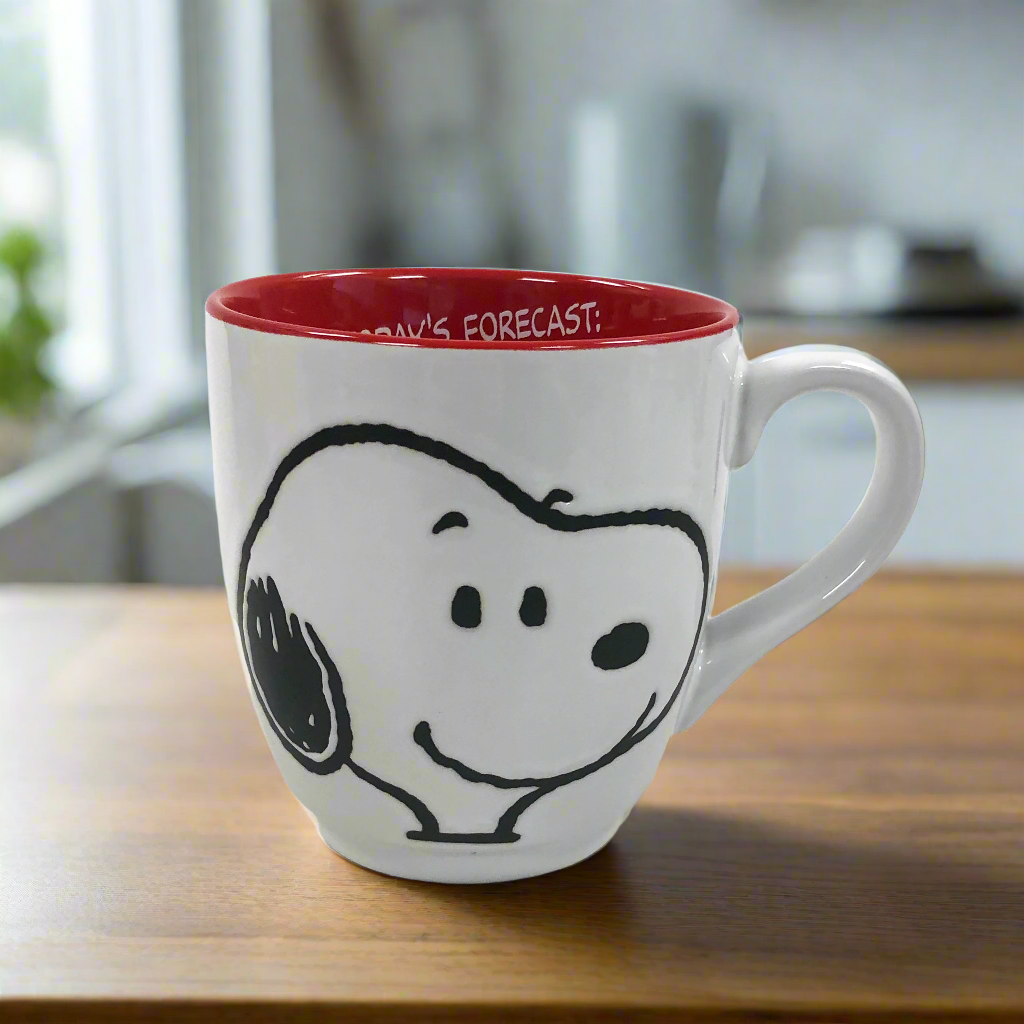 すぬぴ 乾燥ひじき PEANUTS® Kitchen & Drinkware – FUN MERCHANDISE ONLINE SHOP
